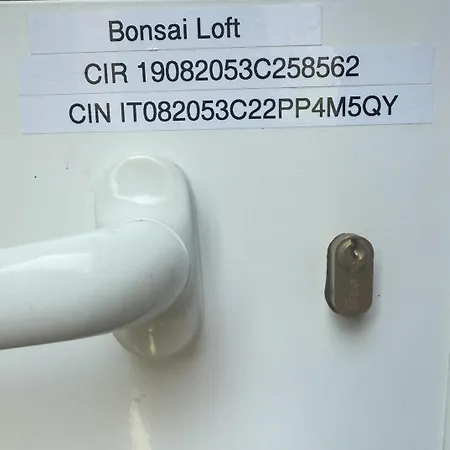 Appartamento Bonsai Loft