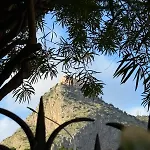 Bonsai Loft Apartment Palermo